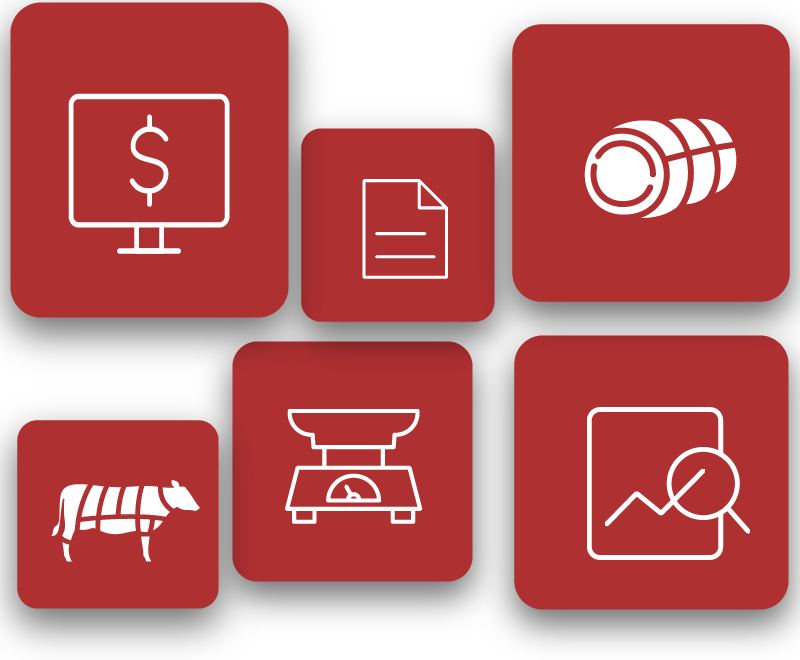 VACAPP Maquetado web